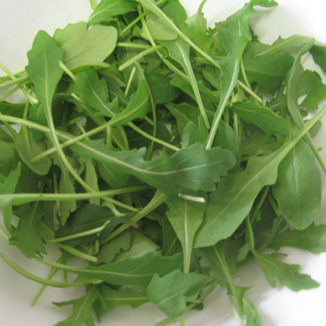 Roquette - Arugula