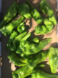 Peppers from Fertile GroundWorks in Livermore California